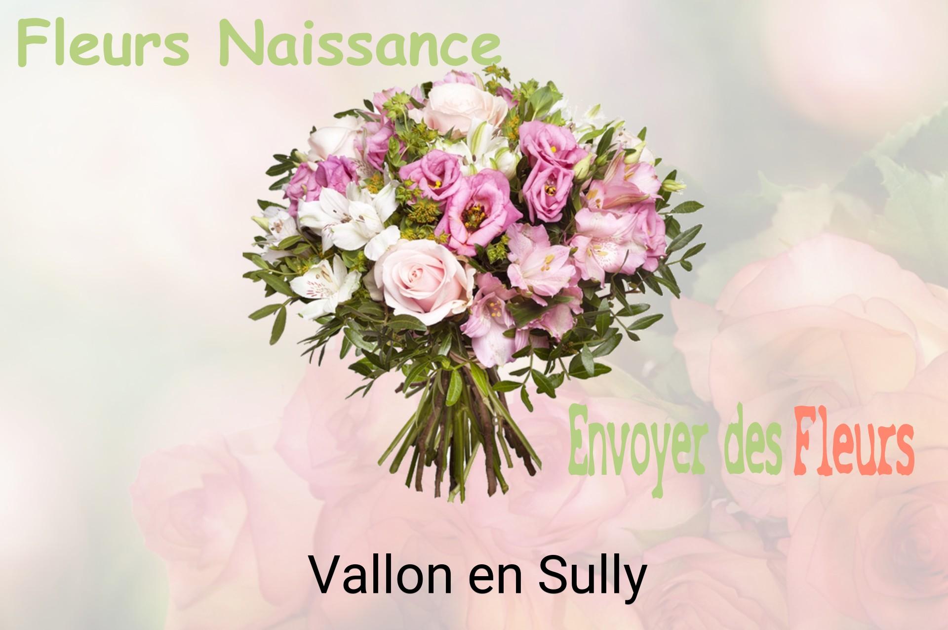 Bouquet de fleurs de naissance livré à Vallon-en-Sully